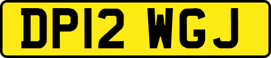DP12WGJ