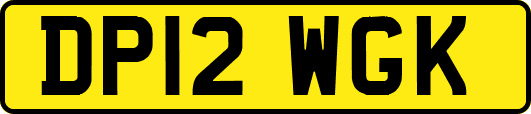 DP12WGK