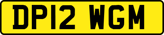 DP12WGM