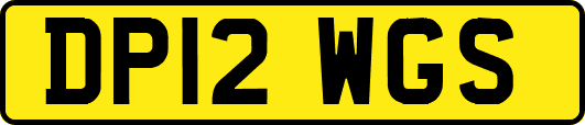 DP12WGS