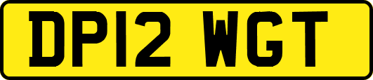 DP12WGT