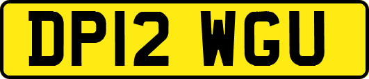DP12WGU