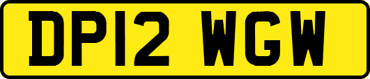 DP12WGW