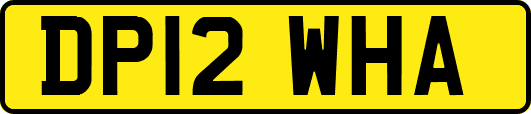 DP12WHA