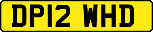 DP12WHD