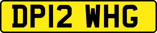 DP12WHG