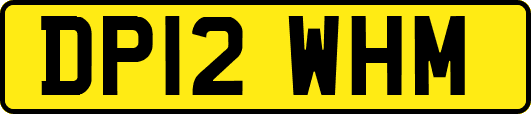 DP12WHM