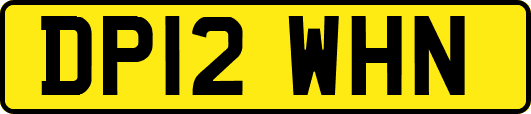 DP12WHN