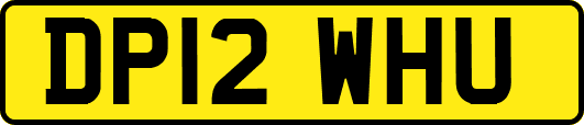 DP12WHU