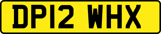 DP12WHX