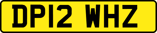 DP12WHZ