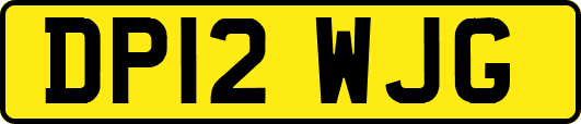 DP12WJG