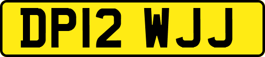 DP12WJJ