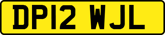 DP12WJL