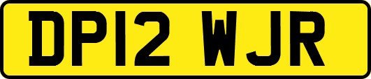 DP12WJR