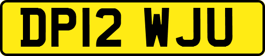 DP12WJU