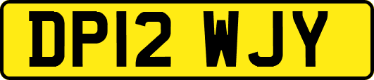 DP12WJY