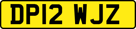 DP12WJZ