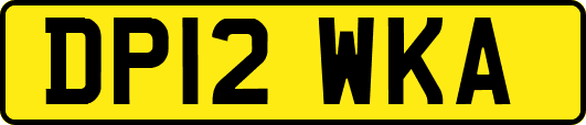 DP12WKA