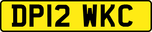 DP12WKC