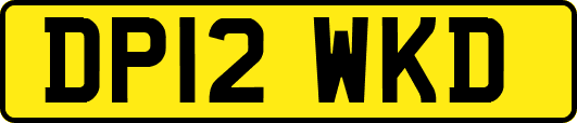 DP12WKD