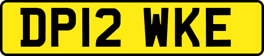 DP12WKE