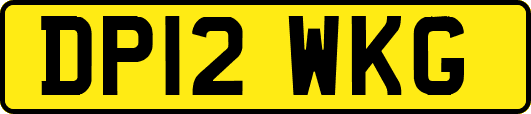 DP12WKG