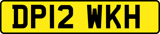 DP12WKH