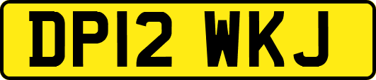 DP12WKJ