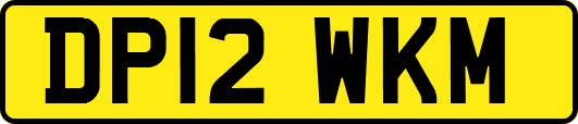 DP12WKM
