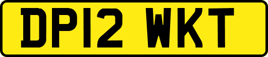 DP12WKT