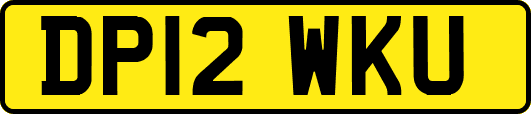 DP12WKU