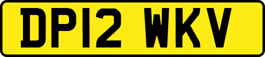 DP12WKV