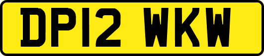 DP12WKW