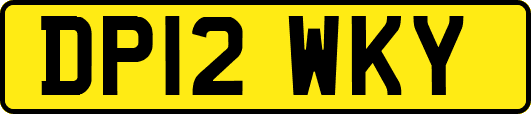 DP12WKY