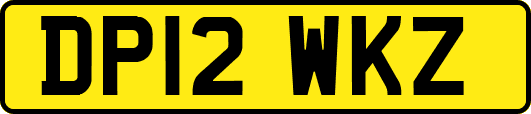 DP12WKZ