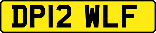 DP12WLF