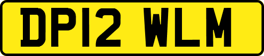 DP12WLM