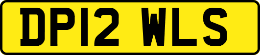 DP12WLS