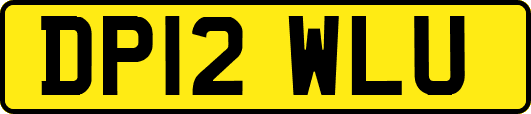 DP12WLU