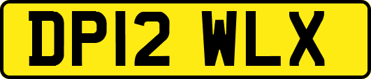 DP12WLX