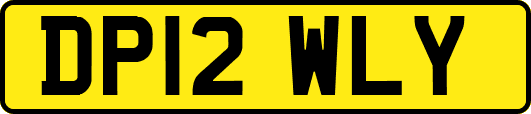 DP12WLY