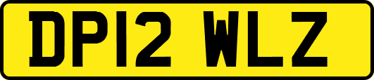 DP12WLZ