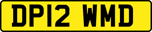 DP12WMD