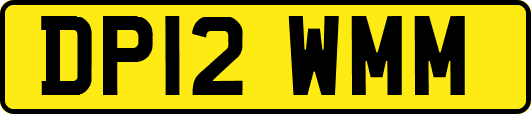 DP12WMM