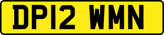DP12WMN