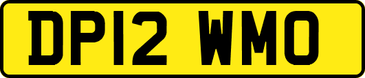 DP12WMO