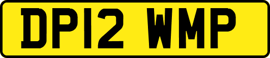 DP12WMP