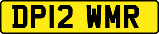 DP12WMR