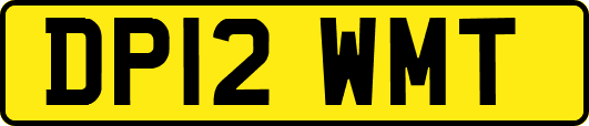 DP12WMT